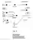 Fig. 07 - Multiple-arm peptide compounds, methods of manufacture and use in therapy