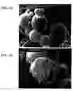 Fig. 03 - Drug Delivery Systems and Use Thereof
