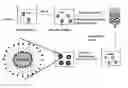 Fig. 01 - Liposomes comprising a calcium phosphate-containing precipitate