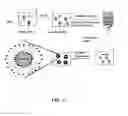 Fig. 02 - Liposomes comprising a calcium phosphate-containing precipitate