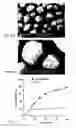 Fig. 07 - Pellets Formulation