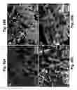 Fig. 33 - ZEOLITE COMPOSITIONS AND METHODS FOR TAILORING ZEOLITE CRYSTAL HABITS WITH GROWTH MODIFIERS