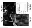 Fig. 37 - ZEOLITE COMPOSITIONS AND METHODS FOR TAILORING ZEOLITE CRYSTAL HABITS WITH GROWTH MODIFIERS