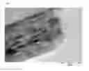 Fig. 02 - COMPOSITE MATERIALS HAVING GRAPHENE LAYERS AND PRODUCTION AND USE THEREOF