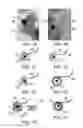 Fig. 02 - NANOTUBE-NANOHORN COMPLEX AND METHOD OF MANUFACTURING THE SAME
