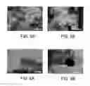 Fig. 06 - NANOTUBE-NANOHORN COMPLEX AND METHOD OF MANUFACTURING THE SAME