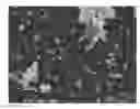Fig. 01 - MESOPOROUS OXIDE OF TITANIUM