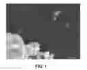 Fig. 02 - MESOPOROUS OXIDE OF TITANIUM