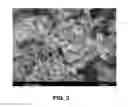 Fig. 04 - MESOPOROUS OXIDE OF TITANIUM