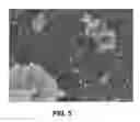 Fig. 06 - MESOPOROUS OXIDE OF TITANIUM