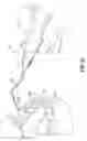 Fig. 07 - VIBRATING DENTAL INSTRUMENTS
