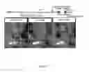 Fig. 08 - CELL IMAGING METHOD FOR VIEWING MICRORNA BIOGENESIS IN THE CELLS