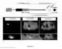 Fig. 09 - CELL IMAGING METHOD FOR VIEWING MICRORNA BIOGENESIS IN THE CELLS
