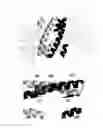 Fig. 01 - Methods and composition for isoprenoid diphosphate synthesis