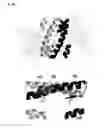 Fig. 03 - Methods and composition for isoprenoid diphosphate synthesis