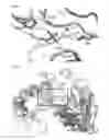 Fig. 09 - Methods and composition for isoprenoid diphosphate synthesis
