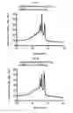 Fig. 04 - Method for Exponential Amplification of RNA Using Thermostable RNA-dependent RNA Polymerase