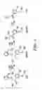 Fig. 09 - LIGE-TYPE ENZYMES FOR BIOCONVERSION OF LIGNIN-DERIVED COMPOUNDS
