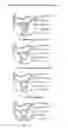 Fig. 01 - 3D trophoblast matrix for preparing organ-specific stem cells