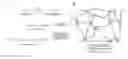 Fig. 01 - Bioactive Macromers and Hydrogels and Methods for Producing Same