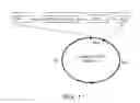 Fig. 02 - Producing an immune response for reducing the risk of developing brucellosis