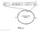 Fig. 04 - Method producing an immune response for reducing the risk of developing brucellosis