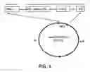Fig. 05 - Method producing an immune response for reducing the risk of developing brucellosis
