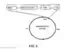 Fig. 06 - Method producing an immune response for reducing the risk of developing brucellosis