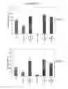 Fig. 04 - Stem Cell Culture Methods