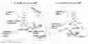 Fig. 01 - COMPOSITIONS COMPRISING CYCLIC AMP ENHANCERS AND/OR EP LIGANDS, AND METHODS OF PREPARING AND USING THE SAME