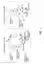 Fig. 02 - COMPOSITIONS COMPRISING CYCLIC AMP ENHANCERS AND/OR EP LIGANDS, AND METHODS OF PREPARING AND USING THE SAME