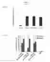 Fig. 07 - Simplified basic media for human pluripotent cell culture