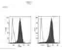 Fig. 10 - Simplified basic media for human pluripotent cell culture