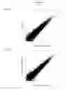 Fig. 12 - Simplified basic media for human pluripotent cell culture