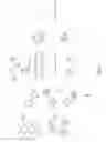 Fig. 04 - Highly multiplexed particle-based assays