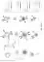 Fig. 06 - Highly multiplexed particle-based assays