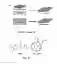 Fig. 02 - SOLAR CELLS BASED ON POLYMER NANOWIRES