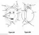 Fig. 03 - Composite Structure Using Chenille Stem and Inflated Balloon