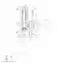 Fig. 06 - ACTIVE CONTROL TENSIONER