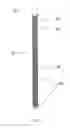 Fig. 02 - SUSPENDIBLE EXERCISE STRAPS