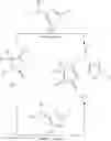Fig. 47 - Herbicides