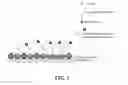 Fig. 02 - DETECTION OF LOW CONCENTRATION BIOLOGICAL AGENTS
