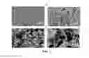 Fig. 03 - DETECTION OF LOW CONCENTRATION BIOLOGICAL AGENTS