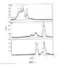 Fig. 04 - 6-0-SULFATED POLYSACCHARIDES AND METHODS OF PREPARATION THEREOF