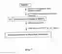 Fig. 08 - 6-0-SULFATED POLYSACCHARIDES AND METHODS OF PREPARATION THEREOF