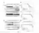 Fig. 04 - CELL LINES USEFUL FOR ASSESSING MODULATION OF AUTOPHAGY