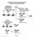 Fig. 09 - CELL LINES USEFUL FOR ASSESSING MODULATION OF AUTOPHAGY