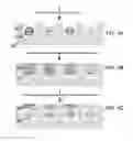 Fig. 04 - Devices and Methods for Producing and Analyzing Microarrays
