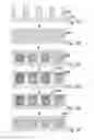 Fig. 07 - Devices and Methods for Producing and Analyzing Microarrays