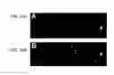 Fig. 32 - Devices and Methods for Producing and Analyzing Microarrays